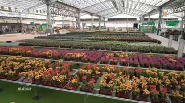 焦點訪談丨農業：走上高質量發展之路