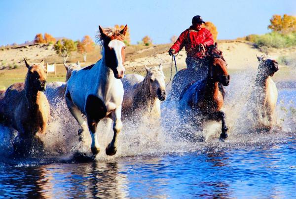 烏蘭布統的迷人秋色