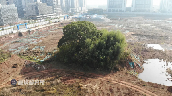 陸家新區又一大專案準備開工