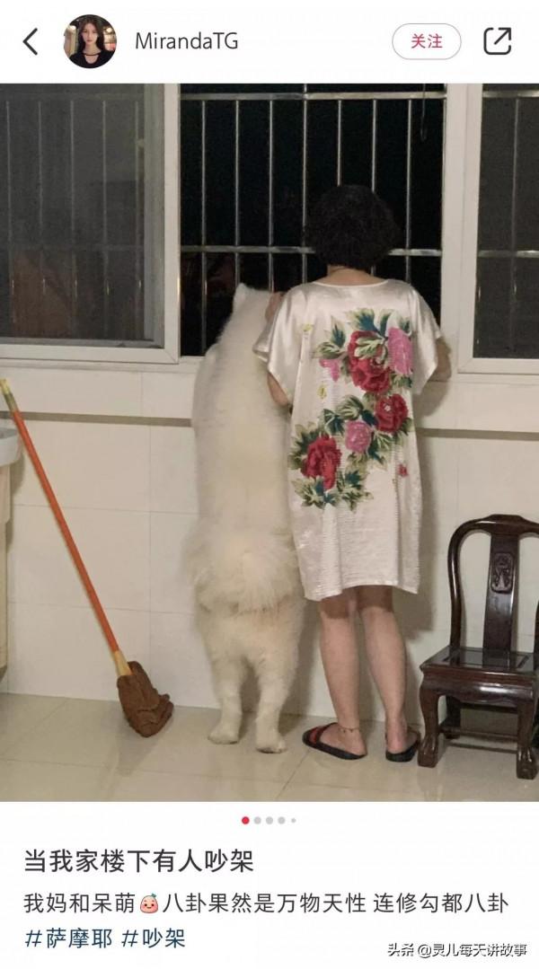 神回覆：為什麼道士瘦骨如柴，而和尚卻肥頭大呢？神評真相了