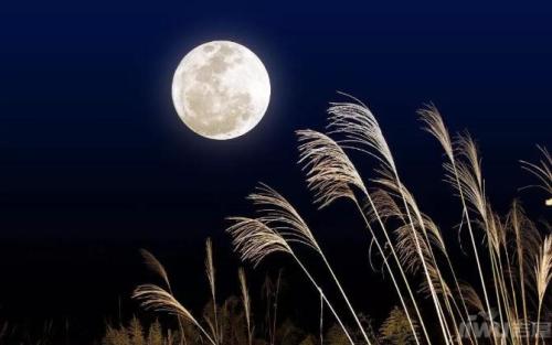 中秋情思《秋夜思》