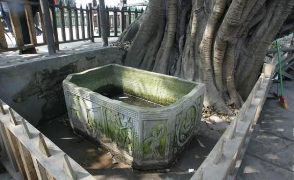 成都12個名勝古蹟景區，大部分遊客只去過都江堰跟青城山