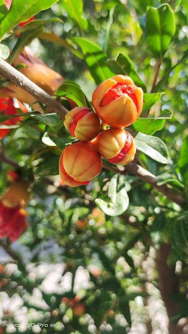 一路走來一路拍，只是想把美景分享給朋友們