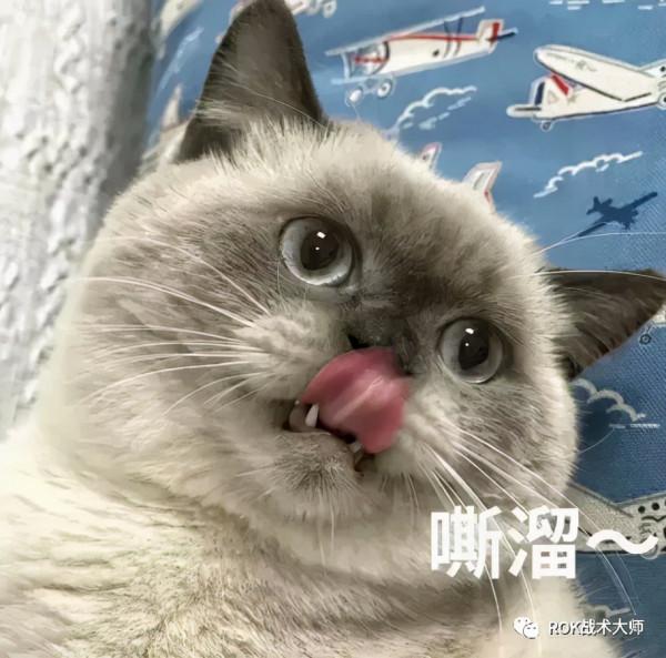 萬國覺醒丨尼布甲尼撒二世解析