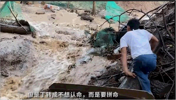 爬行娃：2歲時被父母狠心遺棄！一位善良的養父，一位感恩的兒子