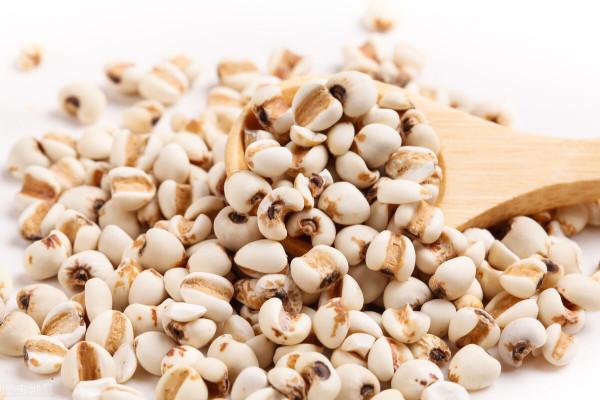 健脾養胃去溼氣配方，無溼一身輕