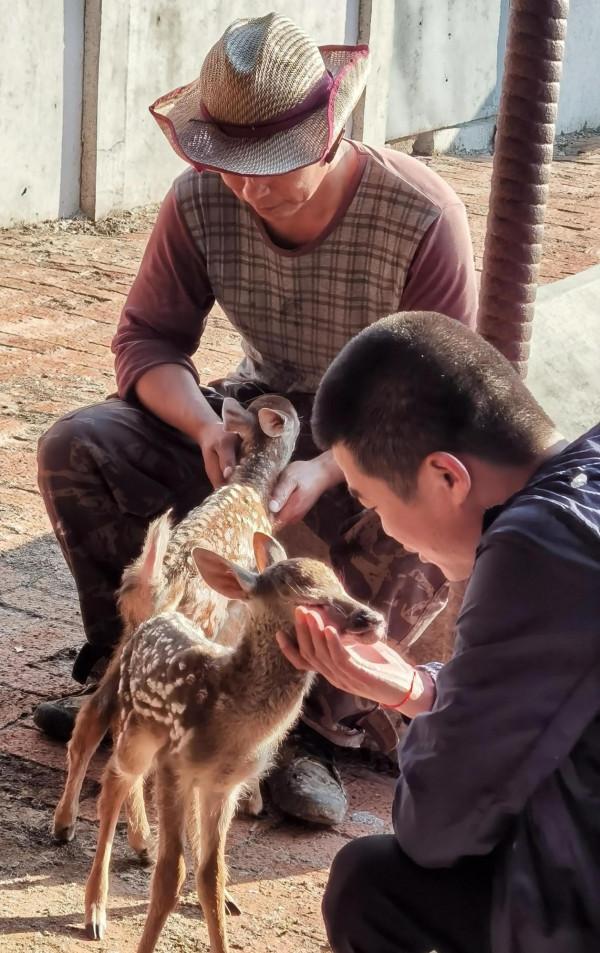 誰將成為新中國第一代職業馴鹿師