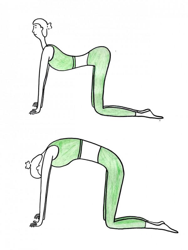 極簡畫瑜伽體式08&mdash;&mdash;貓牛式