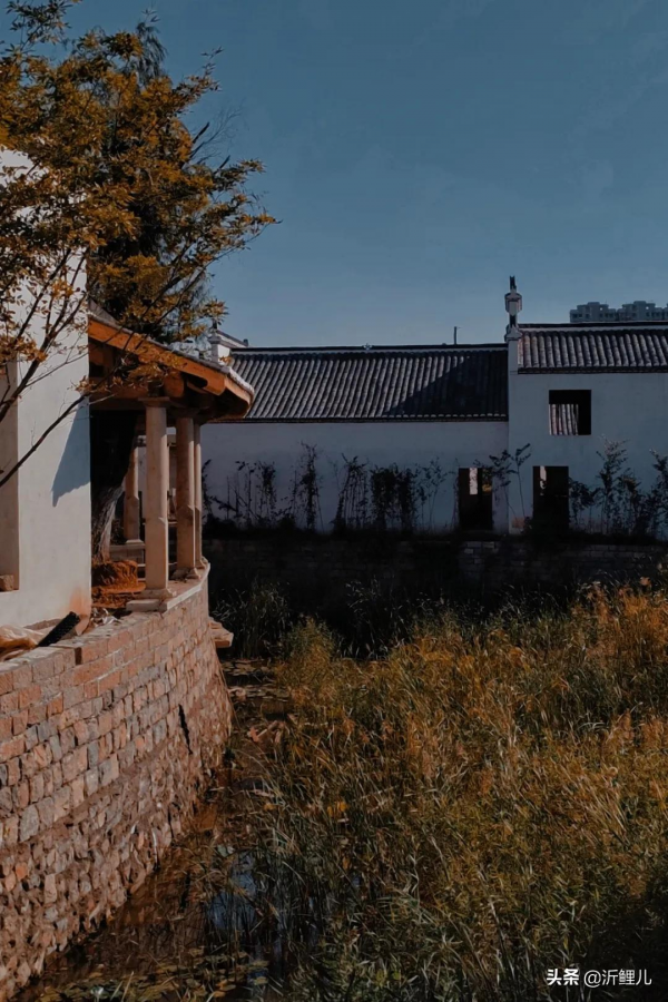 觀唐溫泉×山住茶:古風裡的一杯新制茶 觀唐溫泉×山住茶:古風裡的一杯新制茶