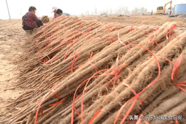 菜價再高,3種時令蔬菜也要常給孩子吃,含鉀高,增強體質身體好 菜價再高,3種時令蔬菜也要常給孩子吃,含鉀高,增強體質身體好