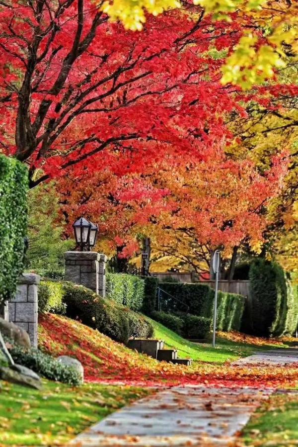 溫哥華是加拿大最適合華人生活的地方