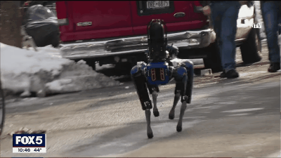 Spot機器狗放聖誕禮盒裡?波士頓動力出彩蛋,結果禮盒逃跑了 Spot機器狗放聖誕禮盒裡?波士頓動力出彩蛋,結果禮盒逃跑了