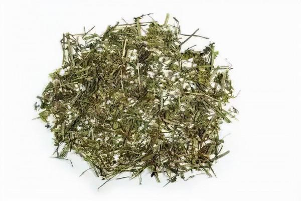 一味中藥：半枝蓮，清熱解毒、活血祛瘀，能治咽喉炎，乳腺纖維瘤