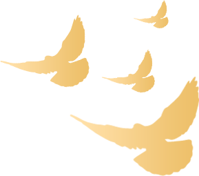 河北六專案入選“百年考古大發現”,一起了解! 河北六專案入選“百年考古大發現”,一起了解!