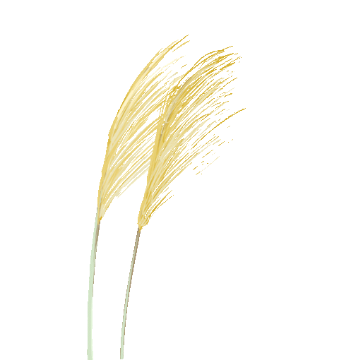 辰星讀書/第235天/掌握話語權