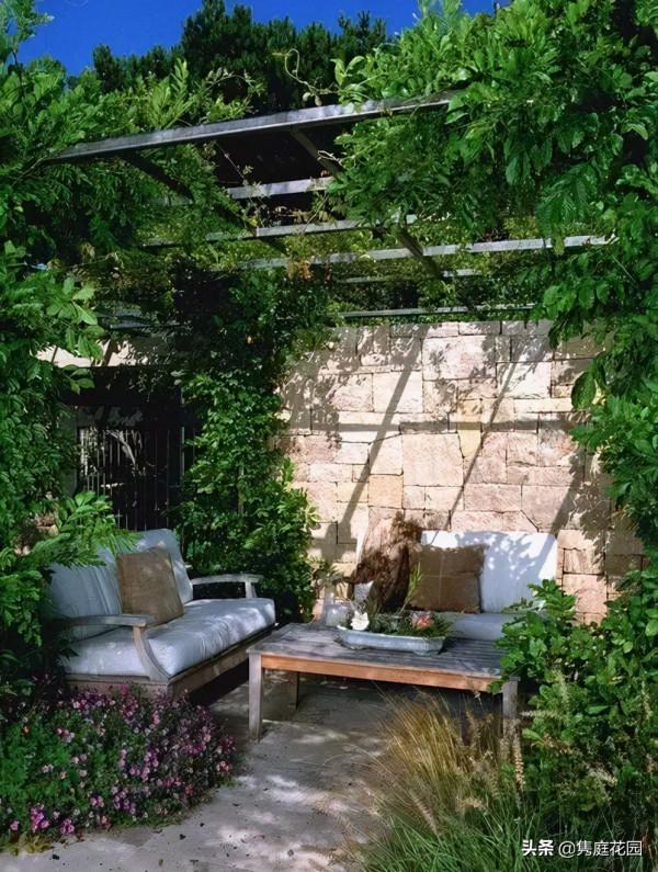 一個優雅的院子,都是養出來的 一個優雅的院子,都是養出來的