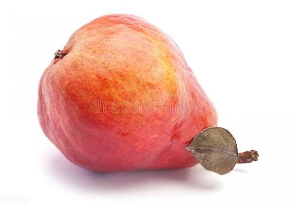 我想讓我的體重正常，肥胖自愈