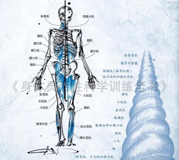 埋頭苦練核心中的前深鏈，讓你的訓練更高效