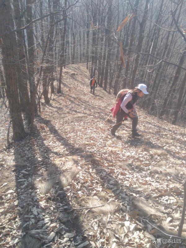 冬至驢行泰山之黃石崖，老平臺，映霞峰，桃花峪東西穿越