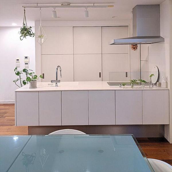 乾淨整潔的白色房間，配上不同品種，不同大小的綠植，效果大不同