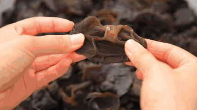 為什麼有人越吃越瘦？常吃這3大類食物，刮油燃脂讓你瘦成閃電