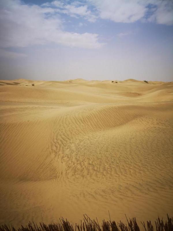 塔克拉瑪干沙漠到底有多深?如果把沙子都挖光,下面是什麼 塔克拉瑪干沙漠到底有多深?如果把沙子都挖光,下面是什麼