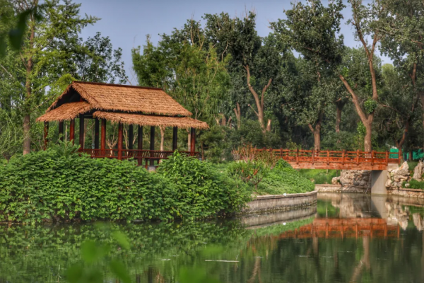 多圖劇透！龍潭中湖公園計劃“十一”前對外免費開放