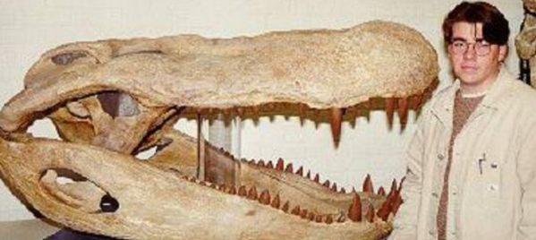 鱷魚家族有多倒黴？努力了兩億年，總是在馬上稱霸地球時被針對