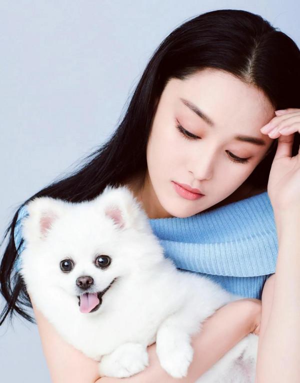 張馨予,著名演員 張馨予,著名演員