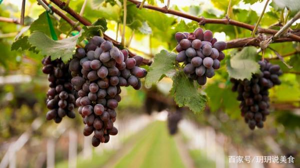 甘肅夫妻賣特色小吃，3.5元一個有8兩重，日賣700個男女老少超愛