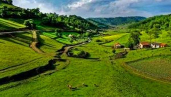 知青回憶錄:夜半驚魂,一雙狼皮手套差點害死四名女知青 知青回憶錄:夜半驚魂,一雙狼皮手套差點害死四名女知青