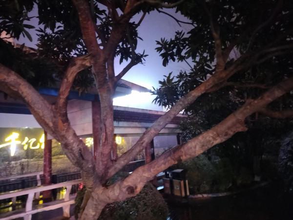 實體店經濟，維繫著資源分配的權重，更承載著經濟發展源泉