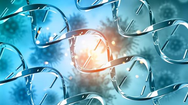 加拿大連環殺人案:變態夫妻專挑少女下手,15歲親妹沒能逃脫魔爪 加拿大連環殺人案:變態夫妻專挑少女下手,15歲親妹沒能逃脫魔爪