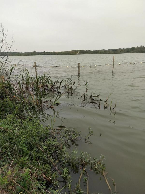 玩玩小短杆，輕鬆隨意