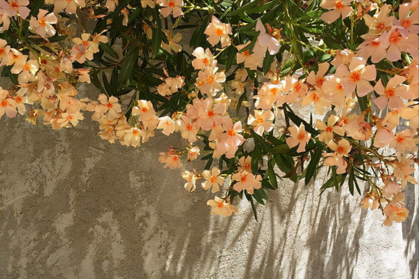 看似沉默寡言,其實從不停止努力的星座,低調內斂,是可造之材 看似沉默寡言,其實從不停止努力的星座,低調內斂,是可造之材