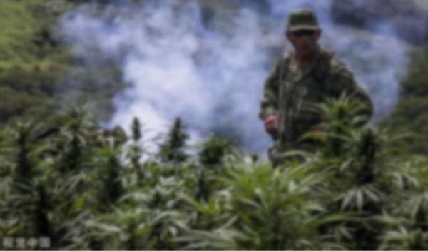 一名美國緝毒警察的屍檢報告：毒販用螺絲刀，鑽穿了他的頭顱