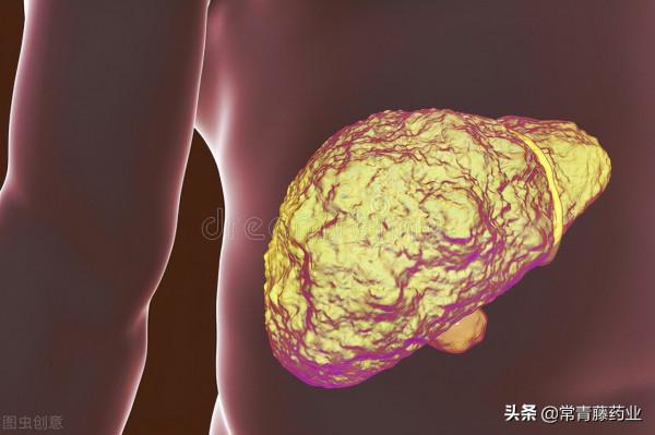 怕乙肝惡化成肝硬化，有必要長期吃恩替卡韋治療嗎？聽醫生說說