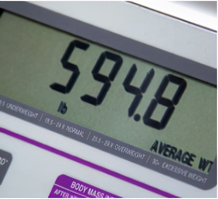 美國肥胖夫妻，兩人體重加起來超過1200斤，走幾步都累得不行