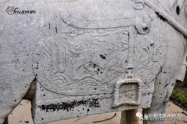 村民把祖墳圈進果園，這位祖先竟是康熙老師，官至紀委副書記