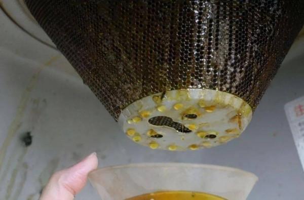 讓人一見鍾情的5件“網紅好物”,不僅沒翻車,而且還很好用 讓人一見鍾情的5件“網紅好物”,不僅沒翻車,而且還很好用