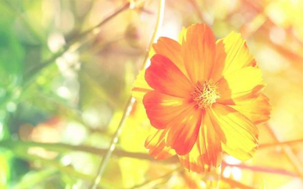 孔子：做人做事從這九個方面思考，便能擁有頂級智慧了