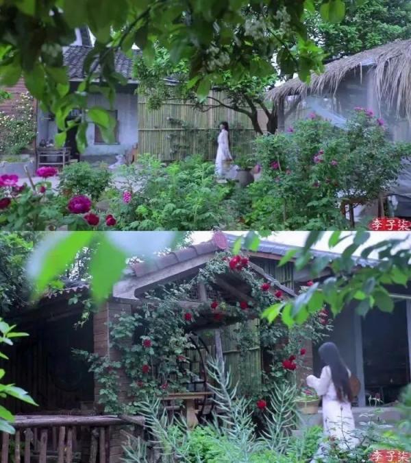 李子柒傳播的十大東方文化十首詩（前五），她與薇婭你更喜歡誰？