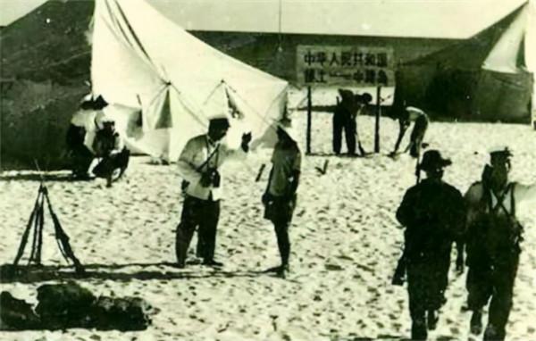 24年前在西沙中建島栽了一棵椰子樹，如今長成了啥樣？