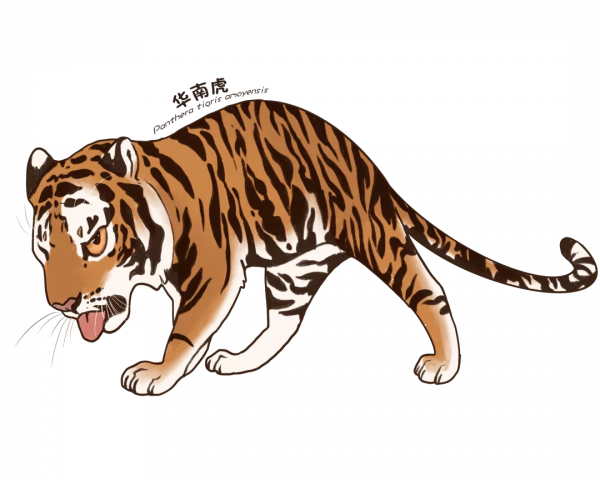 活動預告 &vert; 2022年神州荒漠野生動物園&OpenCurlyDoubleQuote;迎虎年、展虎威&rdquo;