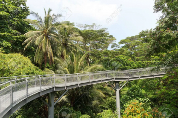 2004年，8歲女童黃娜在新加坡鬧市失蹤，屍體被兇手裝入水果箱