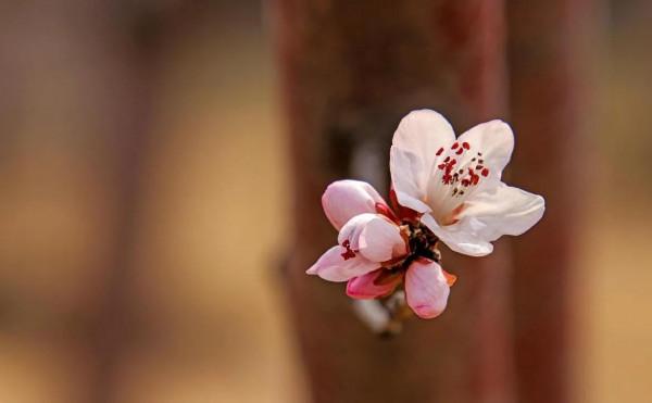 一個人走好運的四大徵兆