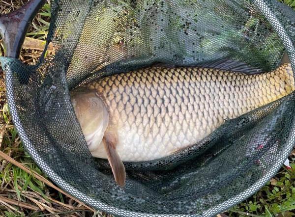 冬季不想空軍，跟大師學釣魚