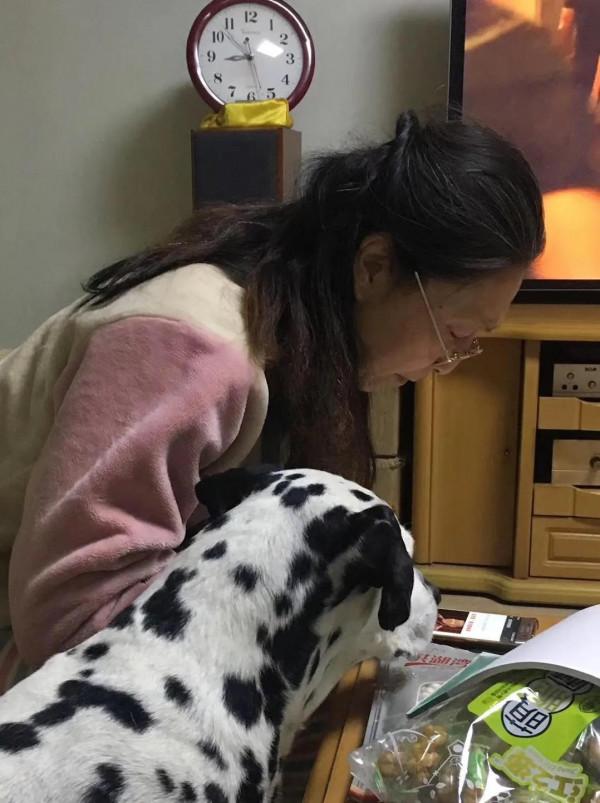 我作為一個非常愛狗的人,為什麼再也不養狗了 我作為一個非常愛狗的人,為什麼再也不養狗了