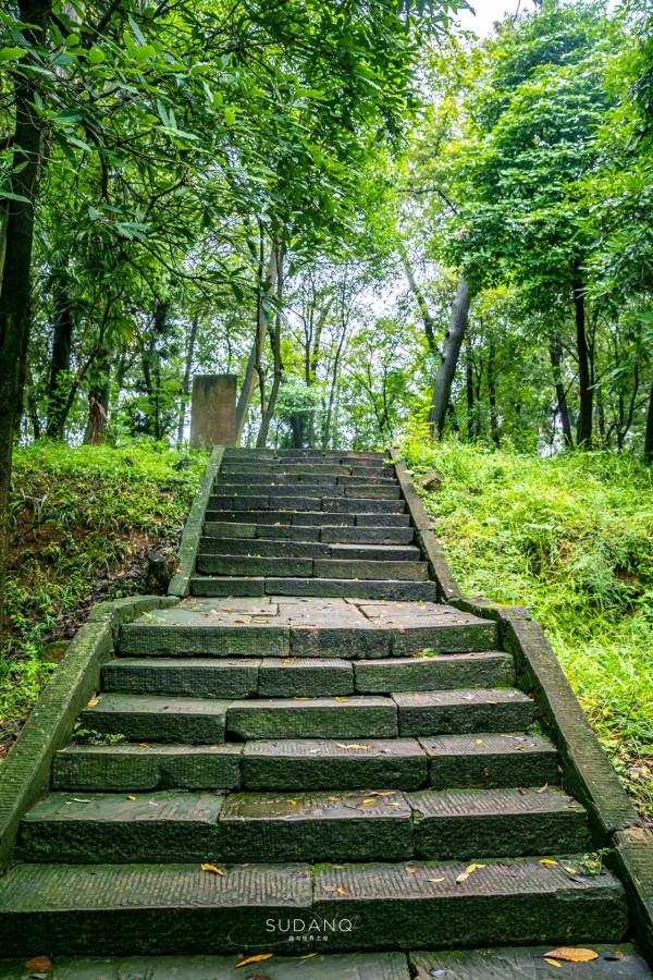 蜀道究竟有多難?人類最早的大型交通遺存之一,已有3000年的歷史 蜀道究竟有多難?人類最早的大型交通遺存之一,已有3000年的歷史