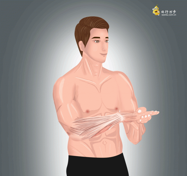 幾個手部及腕部的鍛鍊動作，幫您提高並保持肌肉力量，來試試吧